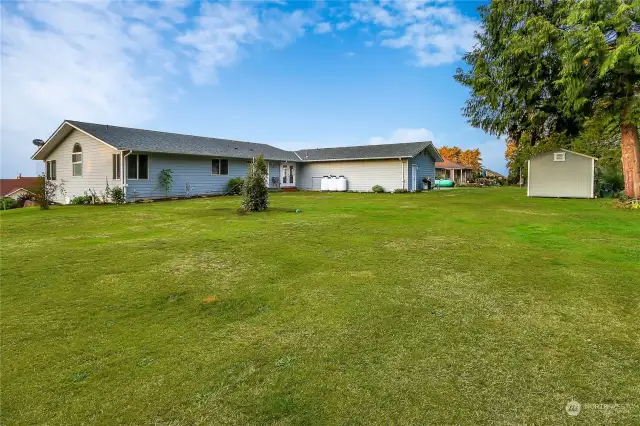 View of the back of the yard.