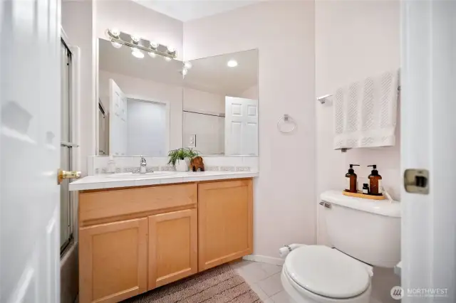 Guest bathroom