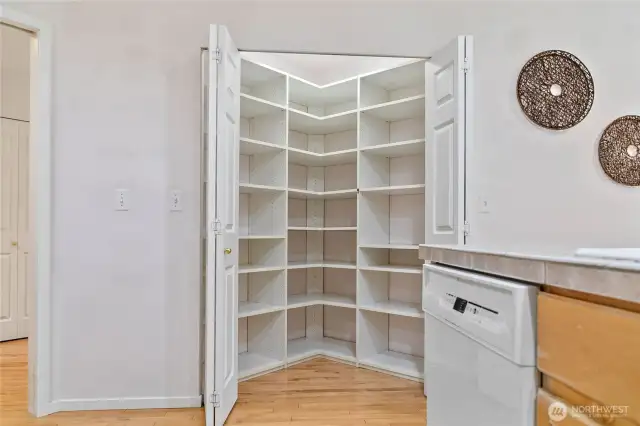 Large walk-in pantry in kitchen