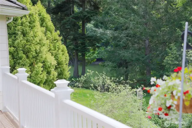 Views from back deck area
