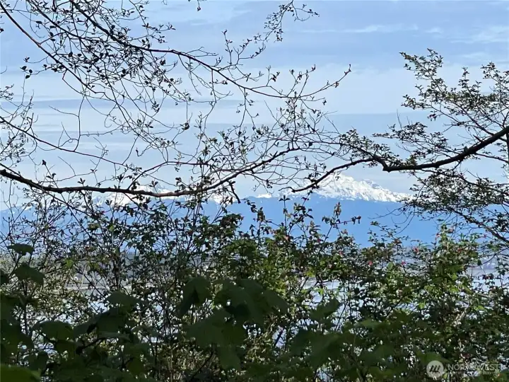 Once the brush & a few trees are cleared, you'll have an amazing water, Everett & snow capped mountain view!