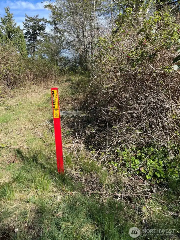 Approximate NW property corner.