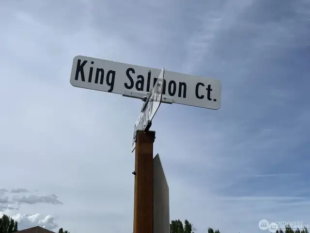 Lot is located on King Salmon CT