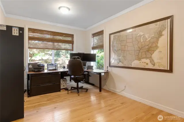 Downstairs office