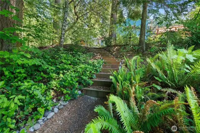 Trail to beach
