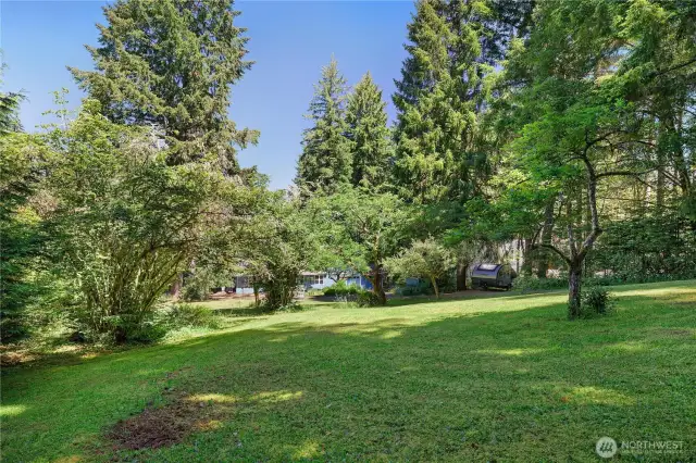 Front yard fruit trees