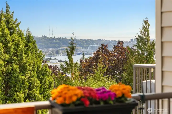 Unobstructed views of sparkling Lake Union