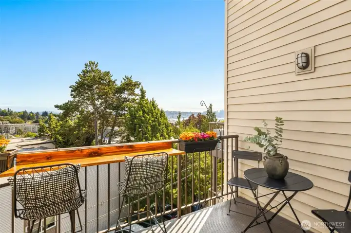 Spacious & sunny balcony will be your urban sanctuary. Built-in bar-top and room for addtl seating
