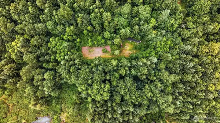 Lot 49 cleared area with pad and electric