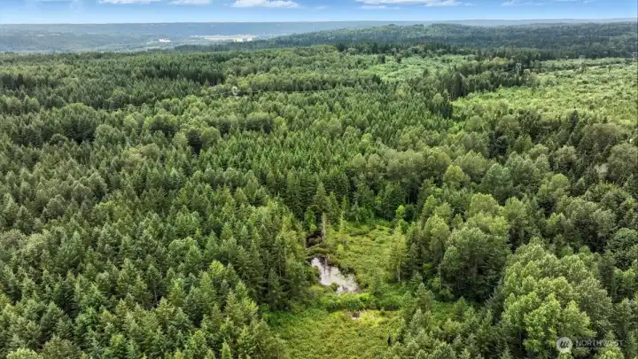 Aerial viewing lot 49 to lot 49 northwest....