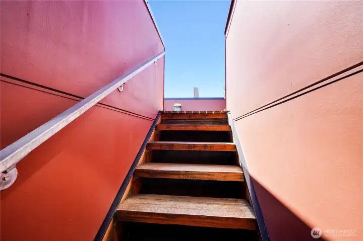 Up to the rooftop deck we go!