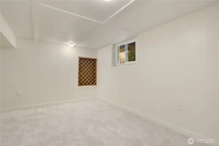 Extra finished room downstairs to use for extra bedroom, office, gym etc.