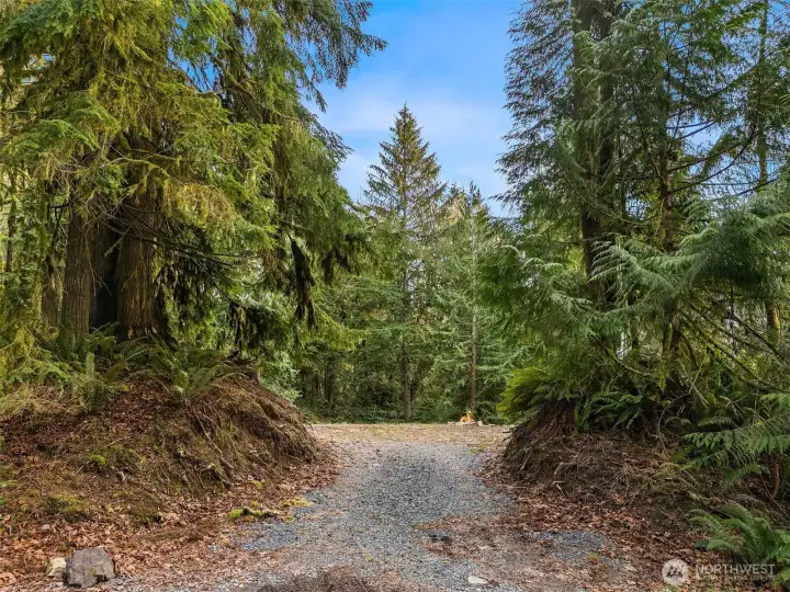 5 acres- existing driveway and cleared level site