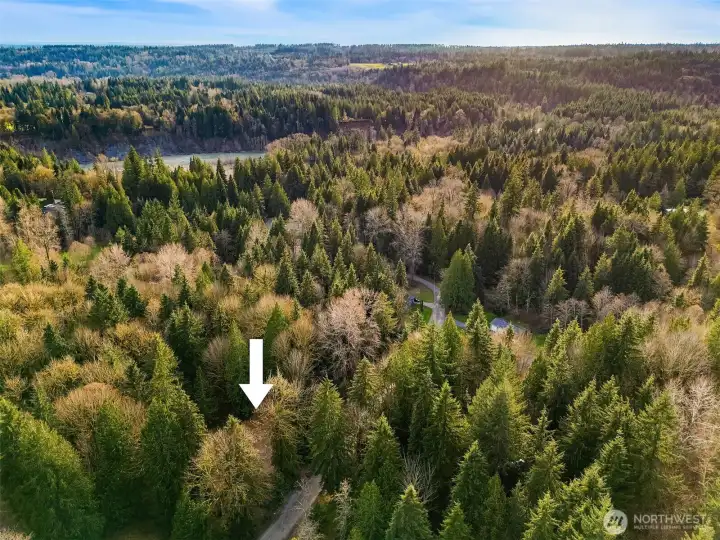 Looking West- existing driveway location