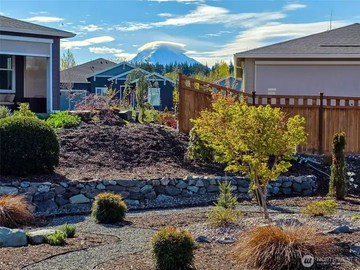 Gorgeous Mt Rainier views from the house and backyard.