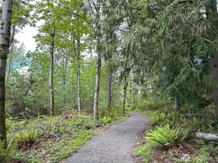 40+ miles of trails in Tehaleh