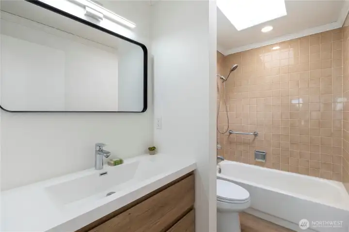 Lower level bathroom.