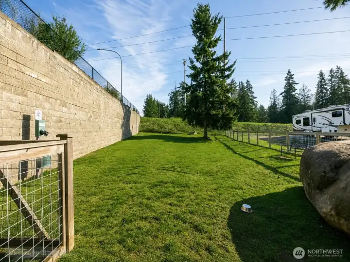 Dog Park
