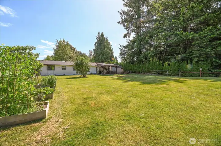 Backyard with garden space