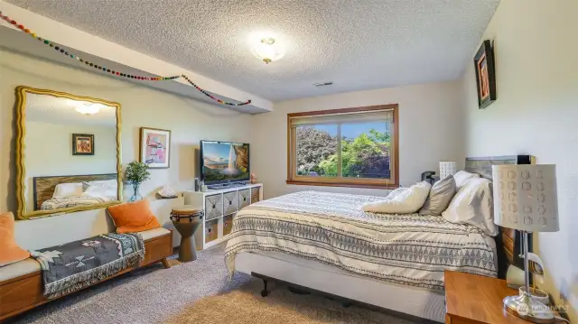 Great sized basement bedroom with large window.