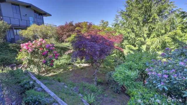 Serene & lush mature landscaping right off the deck.