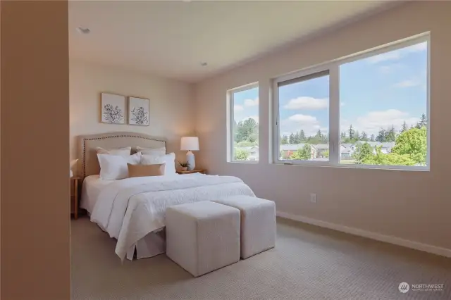 Primary suite with great windows and light