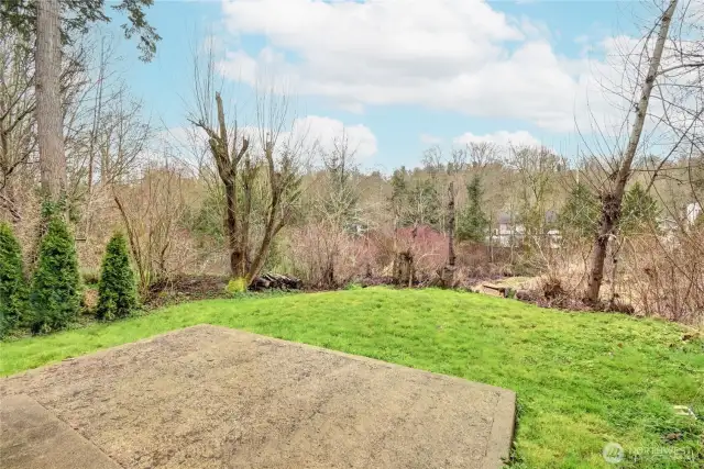 Back yard