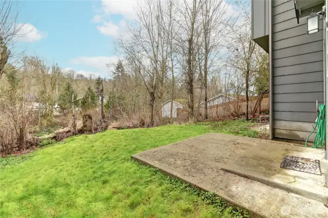 Another view of back yard