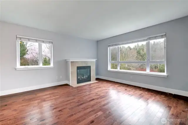Light filled living room, large space for entertaining.