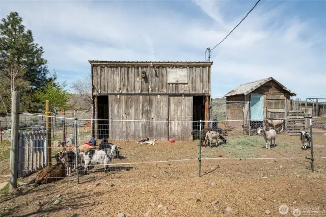Barn & chicken coop.