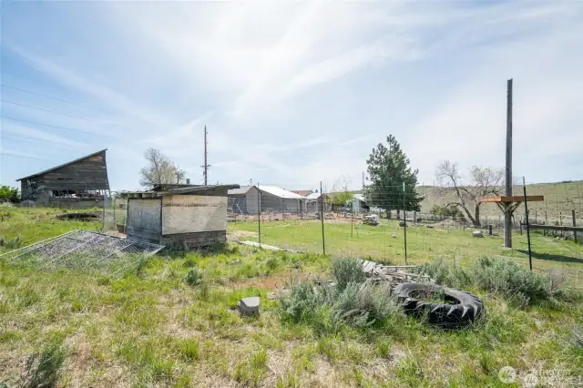 Looking across the property.