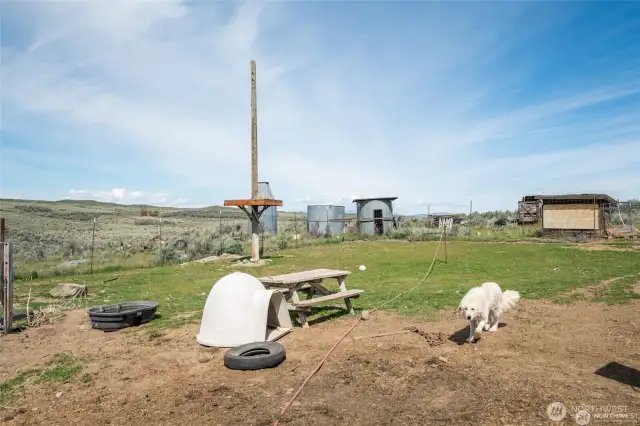 Fenced pasture area.