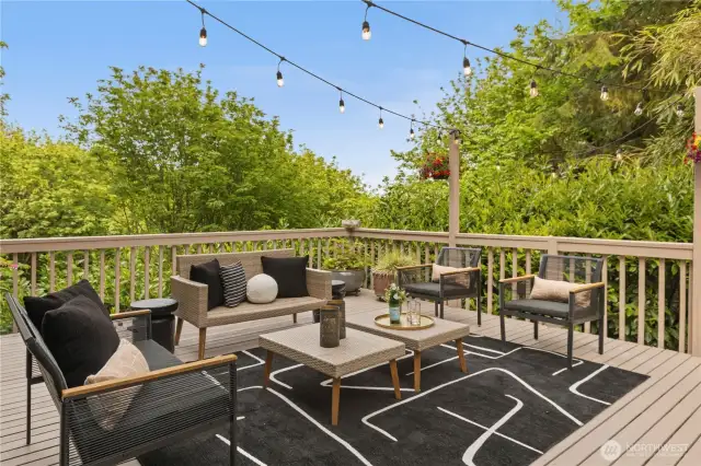 This deck is large enough for not only living space, but also dining.  This time of year, it’s extremely lush when the leaves drop, you have a beautiful view of the city