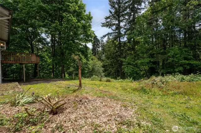 Green Belt Behind the house