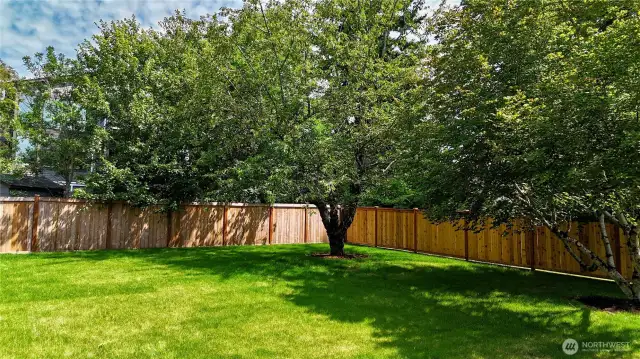Amazing huge backyard is level, fully fenced, grassy and connected directly to the living room and kitchen.