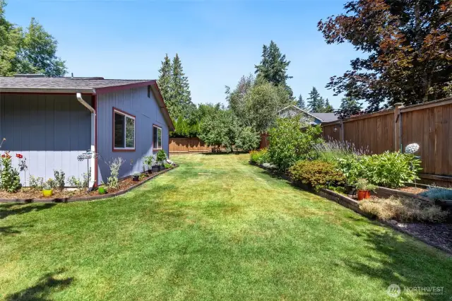 Expansive, sun-drenched backyard with lush lawn, mature landscaping, and garden beds—perfect for play, entertaining, or simply enjoying the outdoors.