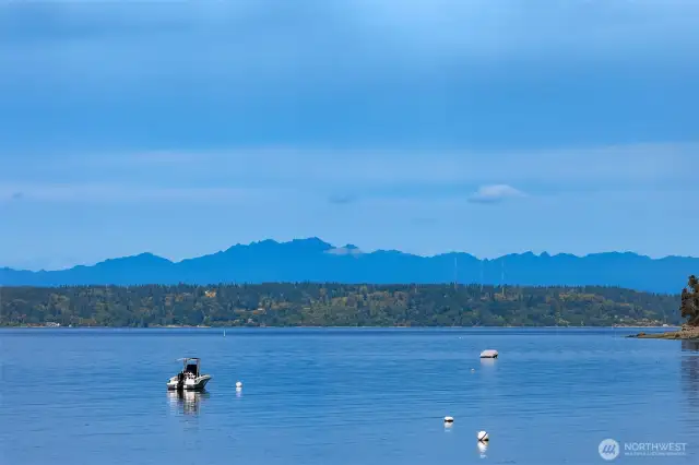 Serene views of the Olympic mountains will take your breath away.