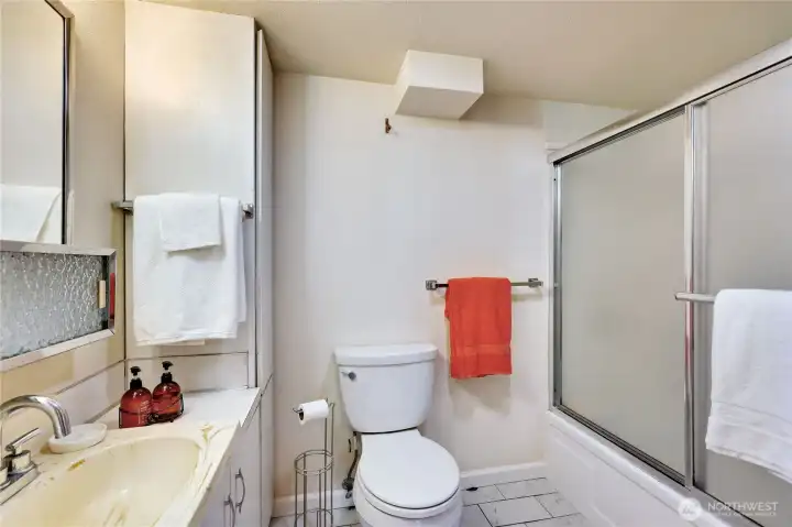 Lower level apartment/additional living space bathroom.