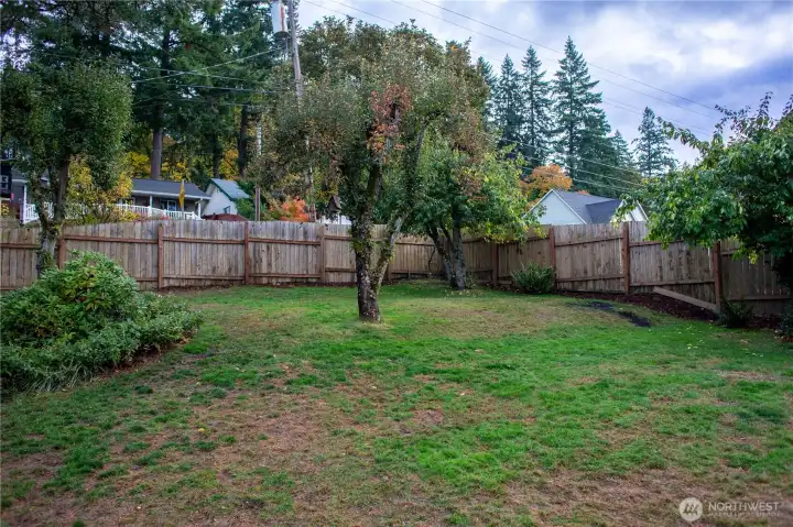 Backyard with fruit trees