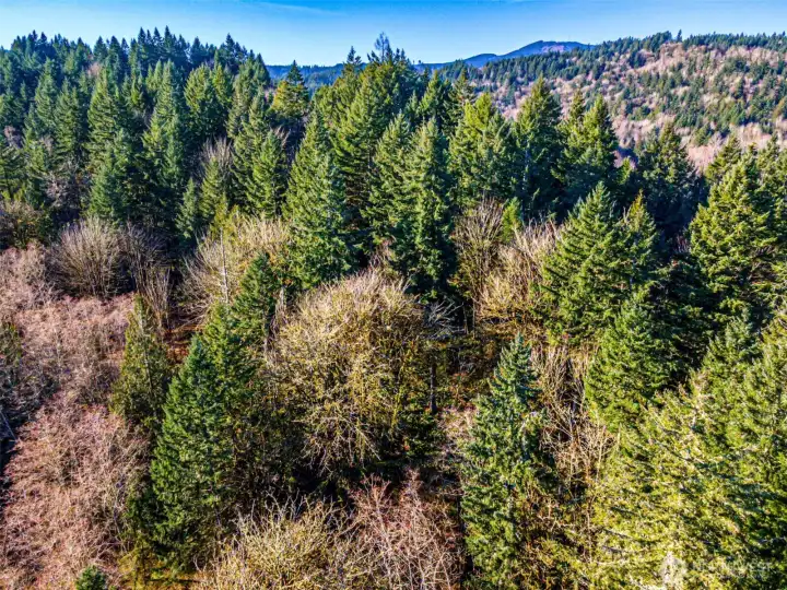 Walking this property grounds you to nature.