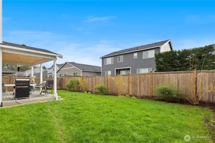 Low maintenance backyard.