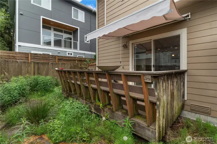 Backyard space has been given back to nature, but could be landscaped!