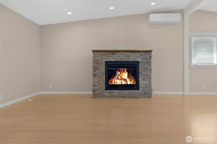 Fireplace and Mini Split