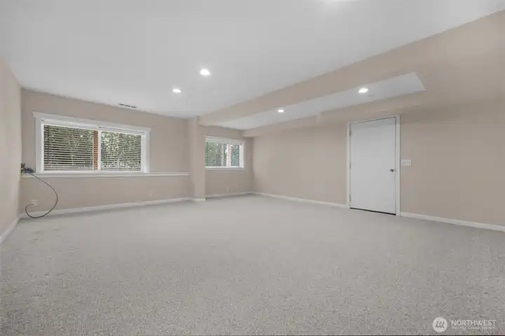 Lower Level Family Room