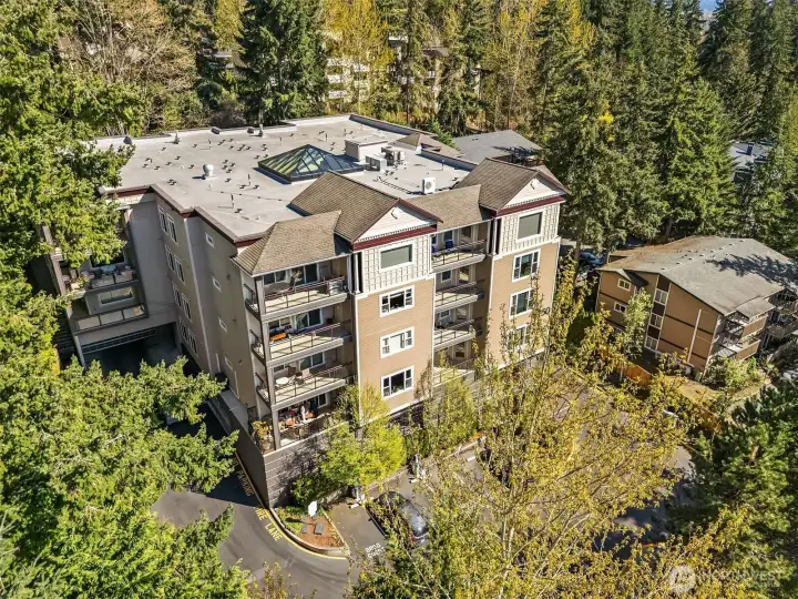 10+ guest parking spaces