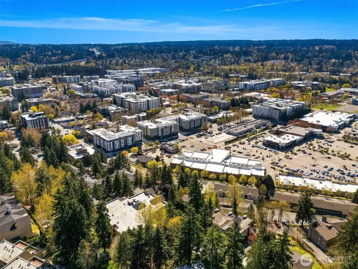 Extremely walkable location - minutes to downtown Redmond, Bella Bottega, shopping, dining and more!