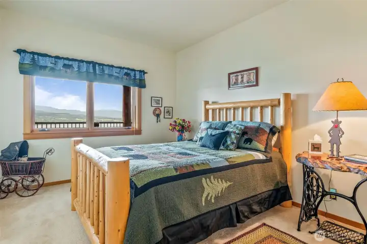 Lower level bedroom.