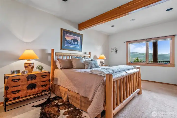 Lower level bedroom.