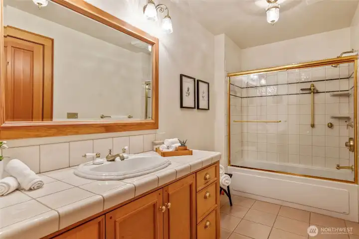 Lower level bathroom.