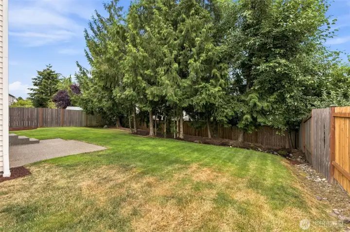 Fully Fenced Back Yard